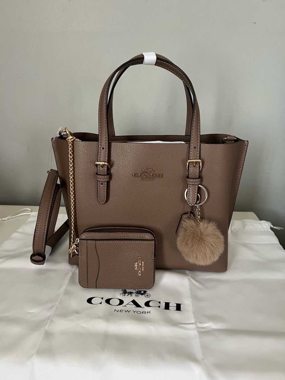Coach Mollie Tote 25 Set - Picture 7 of 10
